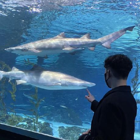 Github Jikimee64 Springbatch Spring Batch - Download Gorgeous Colorful Wallpaper | Retina