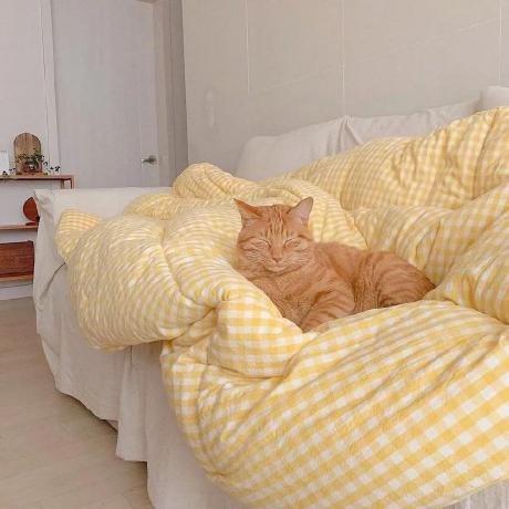 Github Schwartzlab Methods Cellnest Implementation Of Cellnest Method - Space Images - Incredible Desktop Collection