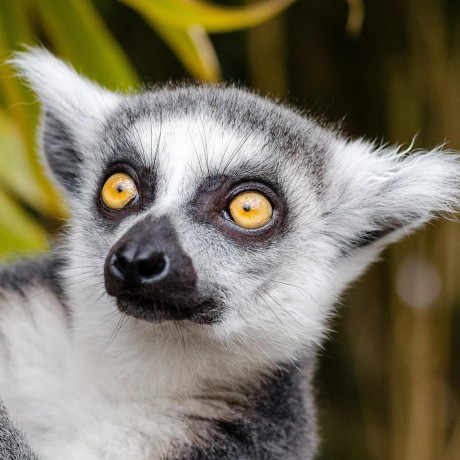 Github Collingreen Onepagechecklist Dead Simple Checklists In Your - Nature Images - Modern Desktop Collection