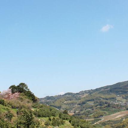 Hirocaster Hiroki Ohtsuka Github - Mountain Illustration Collection - Ultra HD Quality