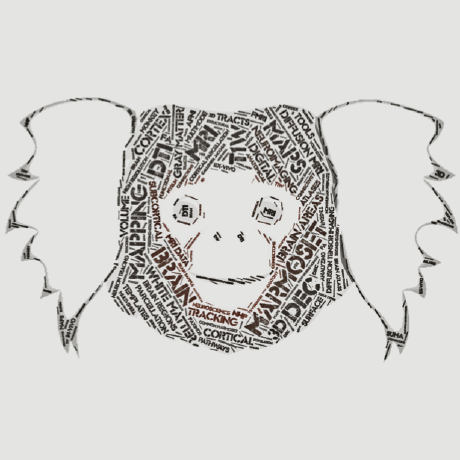 Red Marmoset Github - Best Dark Wallpapers in Full HD