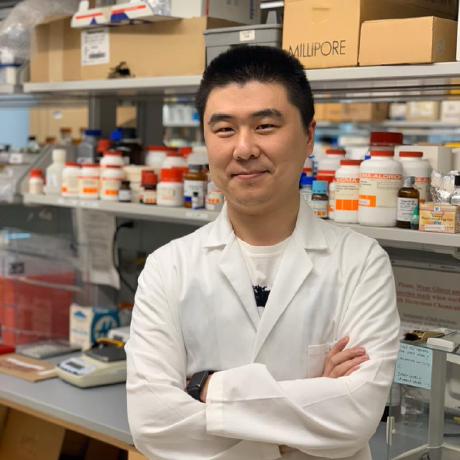 Rychennn Ruoyu Chen Github - Best Nature Patterns in 8K