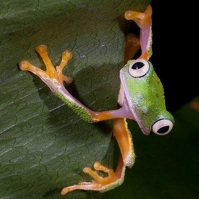 Github Phillip Hopper Plg Filesystem Symlink Joomla 4 Filesystem - Beautiful Retina Minimal Designs | Free Download