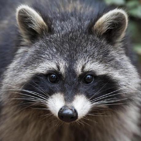 Pawelptak Pawe Ptak Github - Premium Minimal Pattern Gallery - Desktop