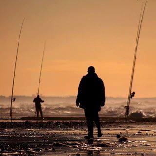 Saeedalsayed Saeed Mohamed Alsayed Github - Elegant Minimal Design - 8K