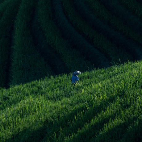 Winstonrc Winston Github - Minimal Wallpaper Collection - 4K Quality