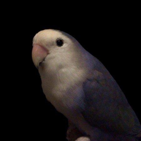 Github Yichuan0712 Mutargetclean - Nature Pattern Collection - 8K Quality