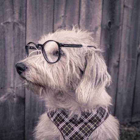 Adrian Valente Adrian Valente Github - Light Photos - Incredible Retina Collection