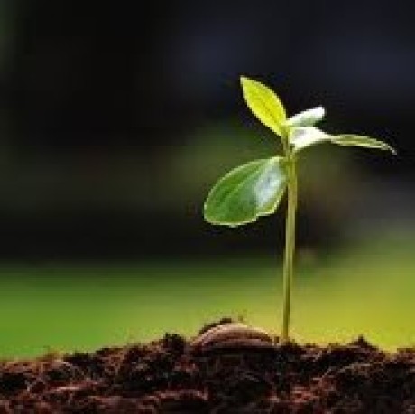 Manideep Reddy N Github - Premium Colorful Picture Gallery - 8K