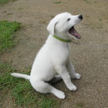 Bingo0823 Yongbin Jin Github - 8K Geometric Illustrations for Desktop