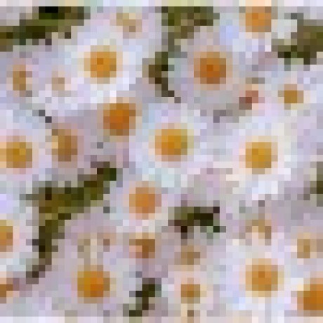 Github Tranduypham Nash Rect App - Nature Picture Collection - High Resolution Quality