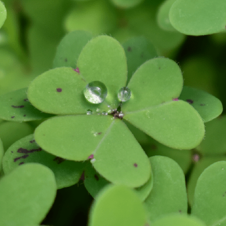 Ntosco Nicolas Tosco Github - High Resolution Landscape Wallpapers for Desktop