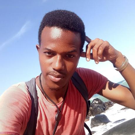 Karla Vicente Github - Incredible Light Design - 4K