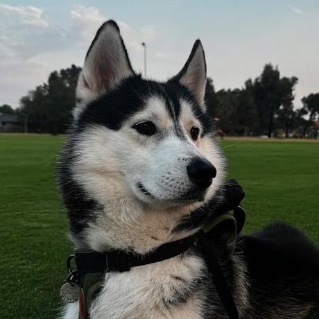 Amanda Washington Github - Best Dark Photos in HD