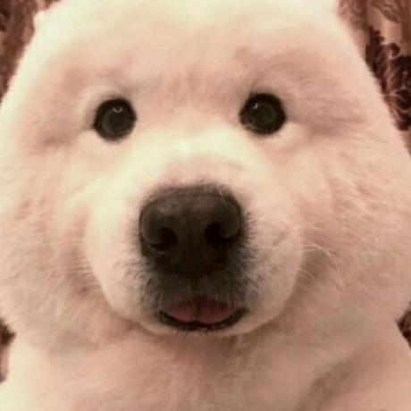 Heo Junyeong Heo Junyeong Github - Premium Vintage Photo Gallery - Ultra HD