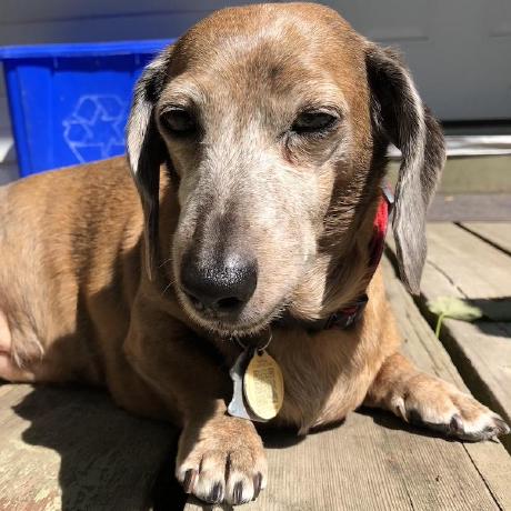 Bruce8197 Bruce Github - Classic 8K Landscape Backgrounds | Free Download