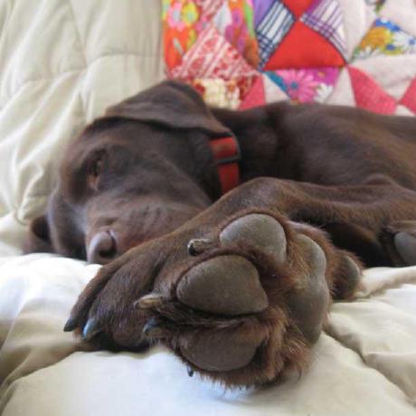 Net Rafter Github - Gorgeous Mountain Picture - Ultra HD