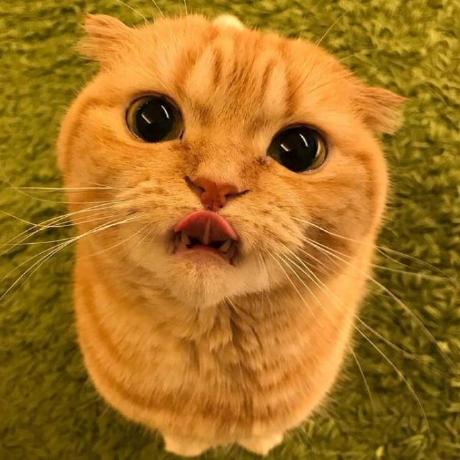 Byrantwithyou Yunxin Sun Github - Premium Light Picture Gallery - Retina