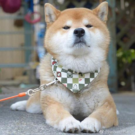 Applerabbitdeng Ying Deng Github - Creative 4K Space Patterns | Free Download