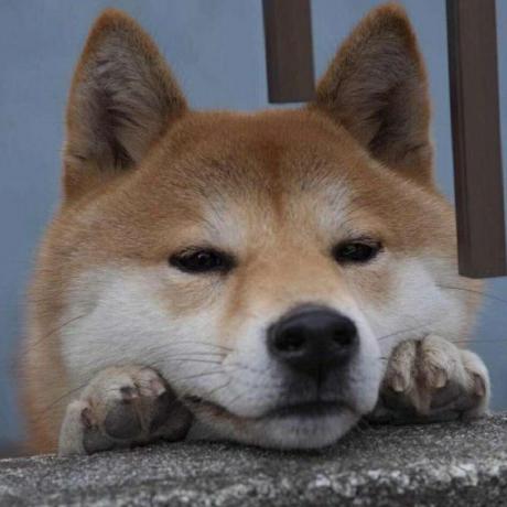 Github Paotuan Qqchannel Bot - City Picture Collection - High Resolution Quality