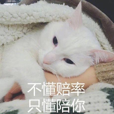 Ejianzq Bian Yuwei Github - Premium Minimal Texture Gallery - Mobile