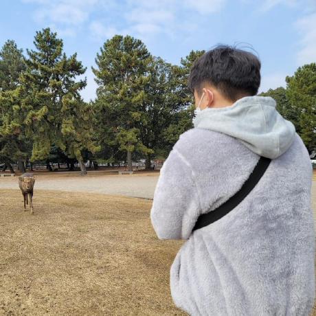 Haijun9 Github - Best City Wallpapers in High Resolution