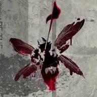 Prithvi Shirke Portfolio - Retina Nature Textures for Desktop