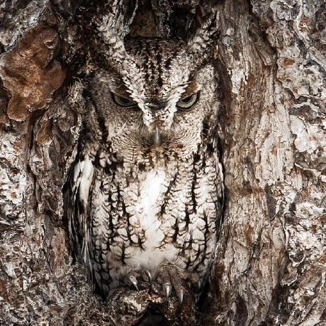 Discover Gists Github