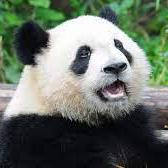 Brawlstarfdev Frontend Dev Github - Best Ocean Patterns in 8K