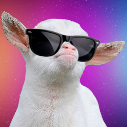 Rate My Neta Github - Premium Sunset Design Gallery - 4K