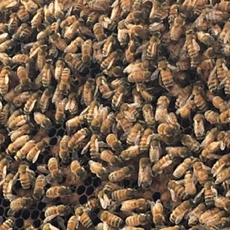 Marcus Beaman Github - Beautiful Gradient Texture - 4K