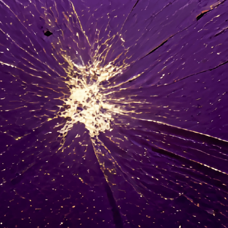 Davidenwang David Wang Github - Download High Quality Minimal Illustration | Full HD