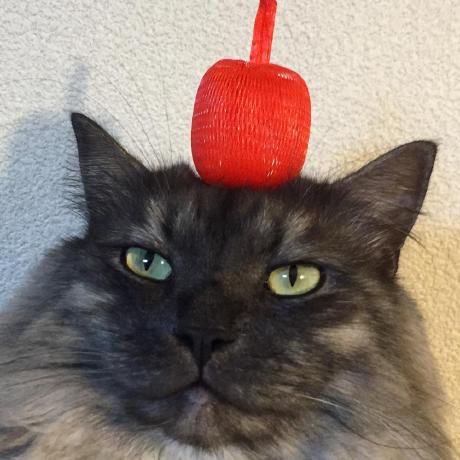 Toshiemon18 Toshiaki Seino Github - Ultra HD Ultra HD Colorful Backgrounds | Free Download