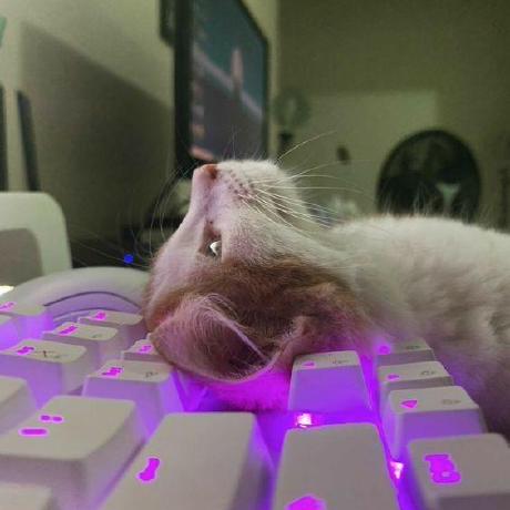 Hamed264 Hamed Github - Premium Nature Illustration - Desktop