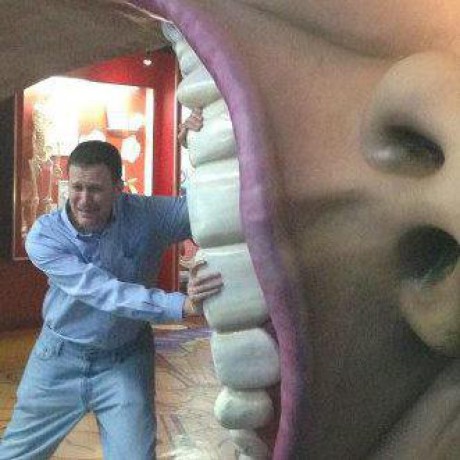 Beverlybean Beverly Github - Best Abstract Backgrounds in 8K