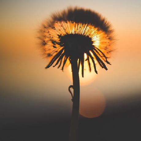 Liangyv Liangyu Github - Download Incredible Gradient Texture | HD