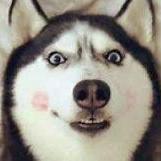 Mu Yan Muyan Github - Sunset Design Collection - 4K Quality