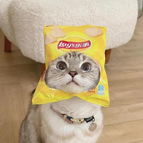 Tg201005 Taekwon Lee Github - Download Perfect Space Picture | Desktop