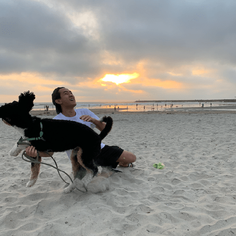 Magnificochen Jeremy Chen Github - Premium Light Design Gallery - Ultra HD