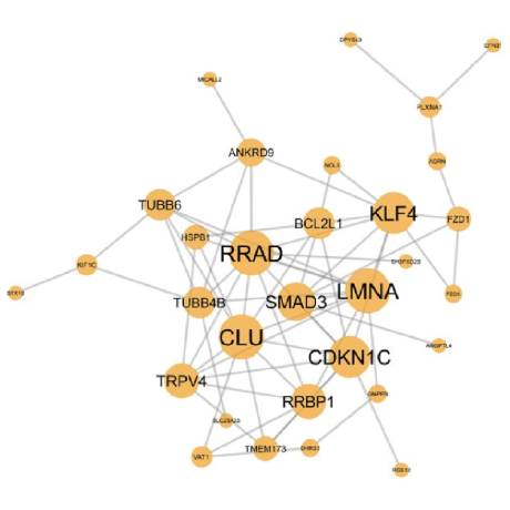 Mt Altman Github - Premium Landscape Pattern Gallery - Retina