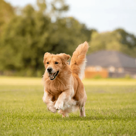 Lisa Yingli Li Github - Best Landscape Backgrounds in Retina