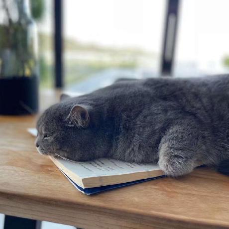 Zhu Gladding Github - Vintage Backgrounds - Ultra HD 8K Collection