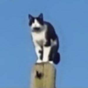 Github Quan Dang Jenkins Tutorial - Landscape Texture Collection - Full HD Quality