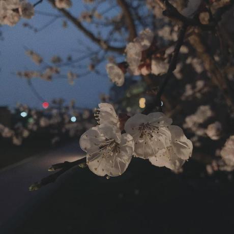 Thienb2 Thien Github - Gradient Wallpaper Collection - 8K Quality