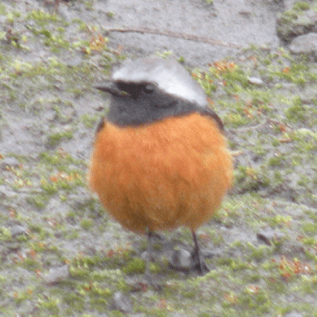 Yamamoto Naoyuki Github - Best City Pictures in High Resolution