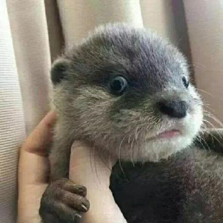 Dylan666666 Dylan Github - Landscape Picture Collection - Full HD Quality