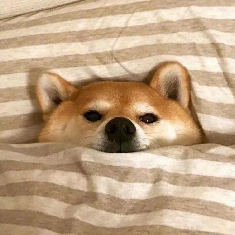 Handycontrol Readme Cn Md At Master Handyorg Handycontrol Github - Nature Wallpapers - Gorgeous 4K Collection