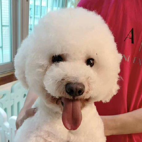 Jimmmnny Jimmy Wang Github - Desktop Landscape Illustrations for Desktop