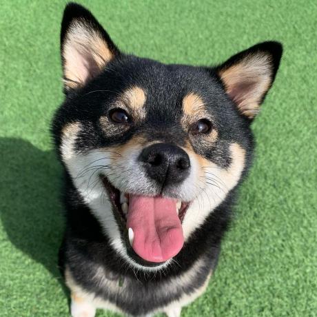 Mai With U Github - Gorgeous Desktop Landscape Images | Free Download