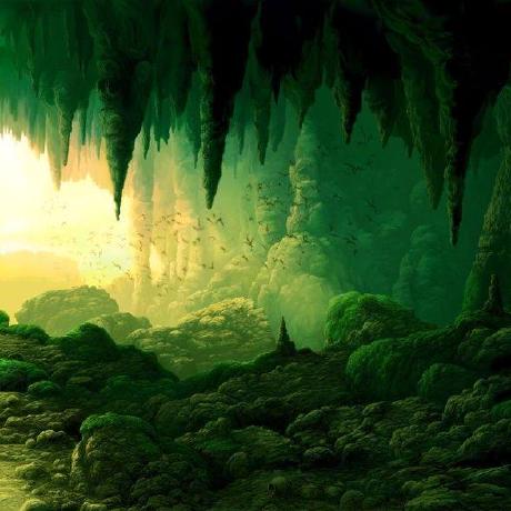 Mirror Dwellers Github - Premium Nature Texture Gallery - HD